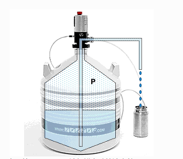 液氮泵