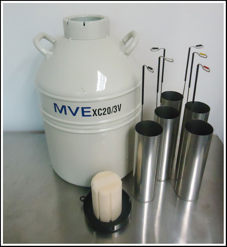 MVE XC液氮罐